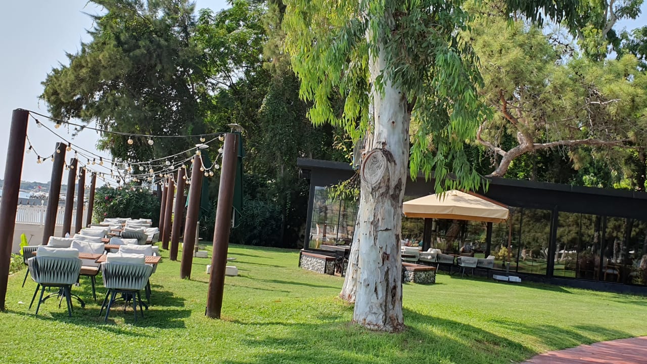 Gastro TUI MAGIC LIFE Beldibi +16