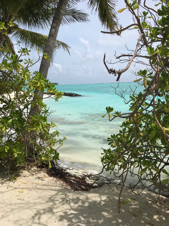 Strand Summer Island Maldives