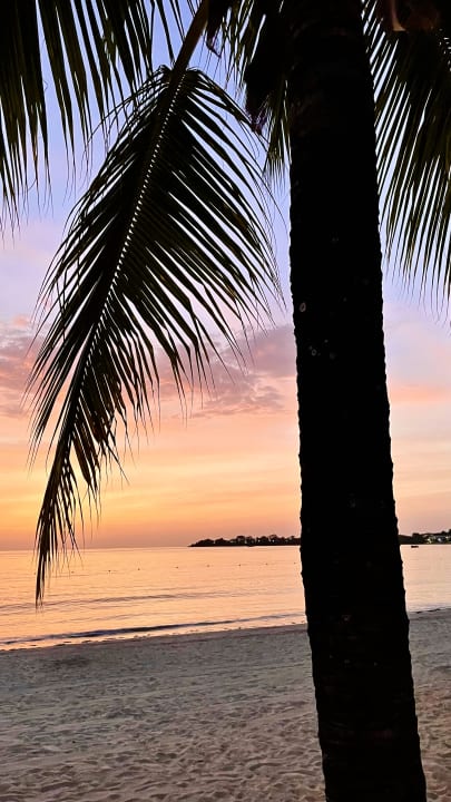 Strand Hotel Riu Palace Tropical Bay