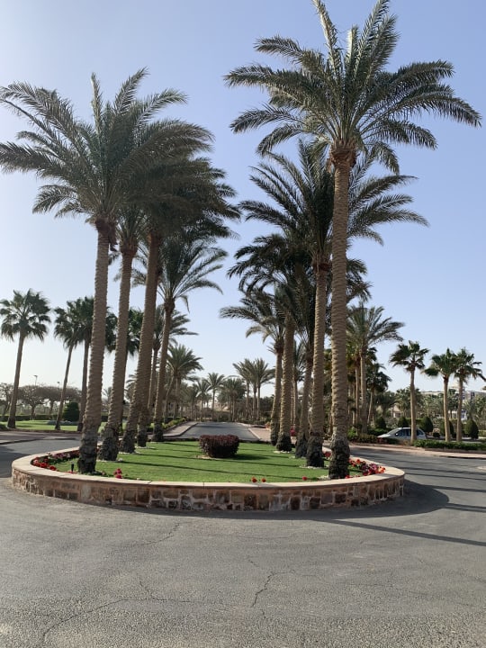 Gartenanlage Mövenpick Resort El Quseir