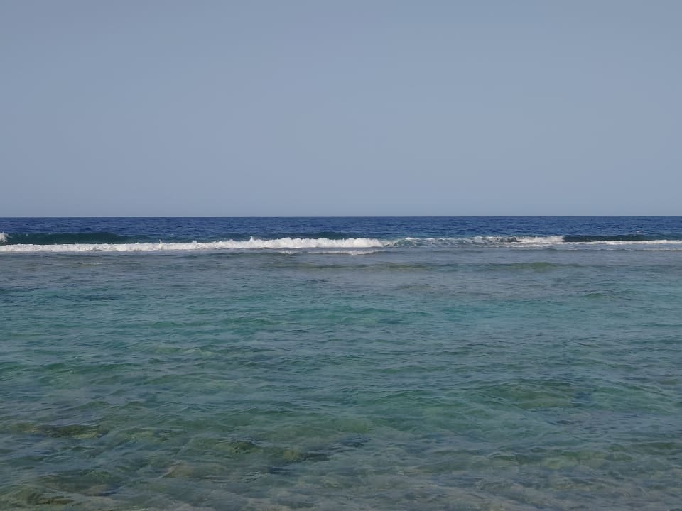 Strand Steigenberger Resort Alaya Marsa Alam - Red Sea - Adults only