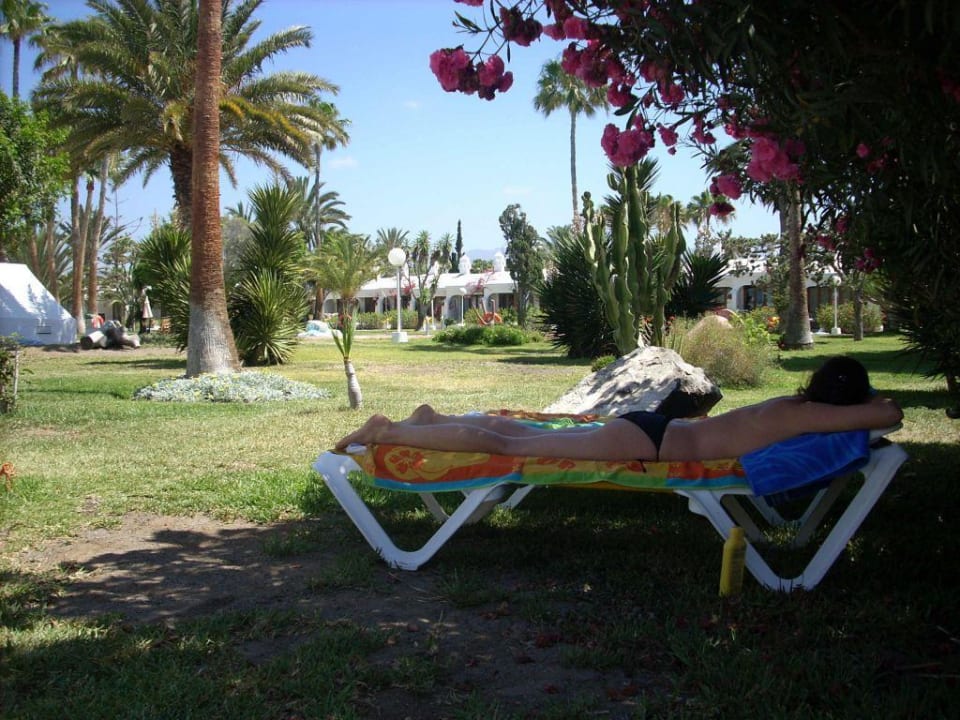 Erholung pur Sahara Beach Club