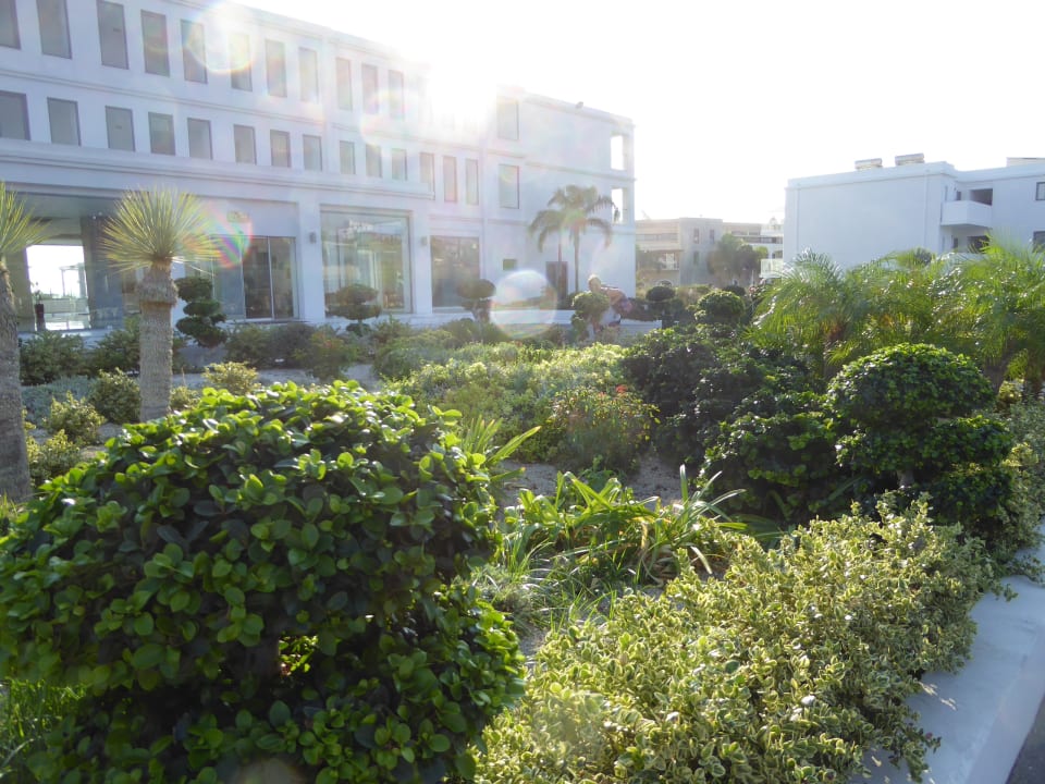 Außenansicht Asterias Beach Resort