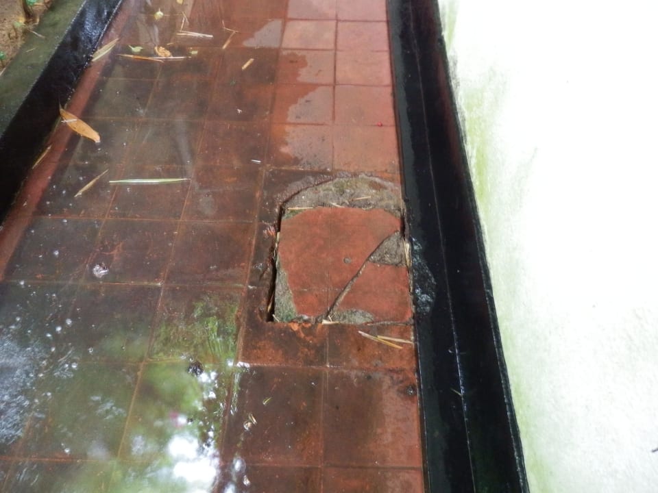 Kanaldeckel, undicht, stinkt Hotel Sri Lanka Ayurveda Garden & Shakti Villa