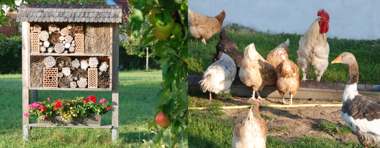 Gartenanlage Hotel Steiglehof