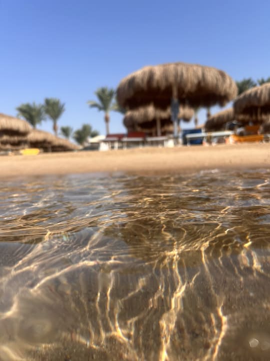 Strand Sentido Caribbean World Soma Bay