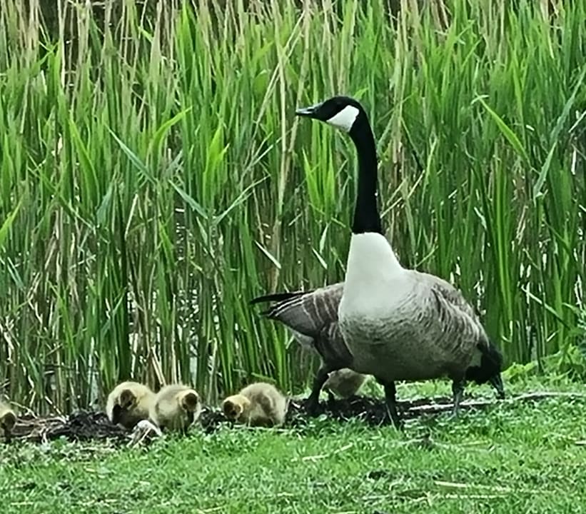 Sonstiges Ferienhof Albert