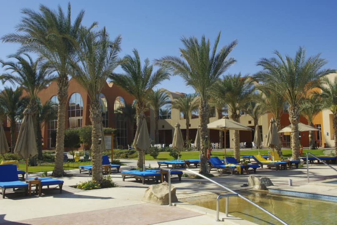 Przy dolnym basenie Novotel Marsa Alam Beach Resort