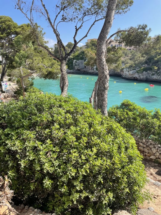 Ausblick Cabot Cala Ferrera