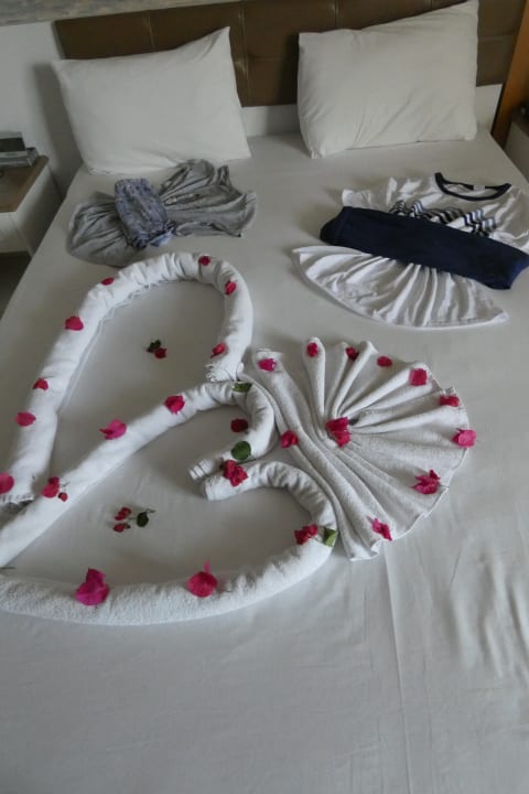 Zimmer Hane Family Resort