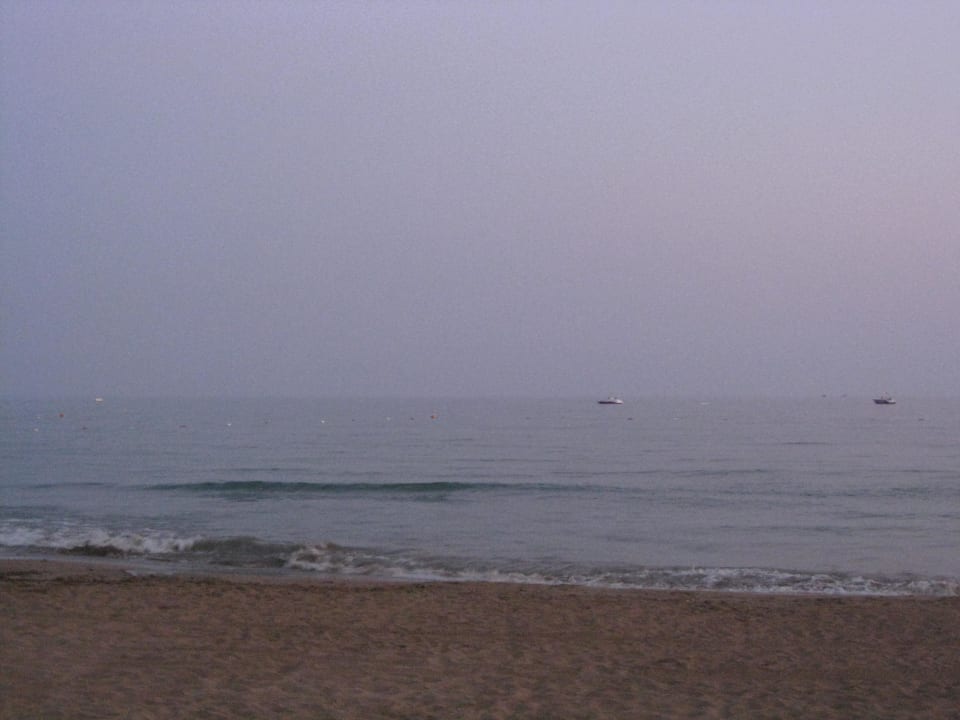 Super, feiner Strand, ohne Algen und Schmutz Aydinbey Kings Palace & Spa