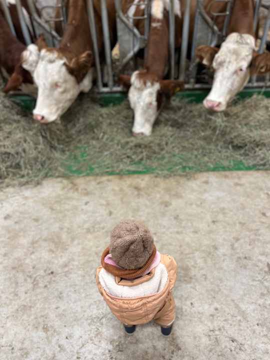 Sport & Freizeit Hotel Maurachhof