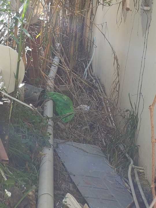 Zimmer Side Miami Beach