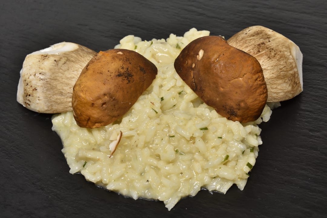 Gastro Hotel Monte Paraccia