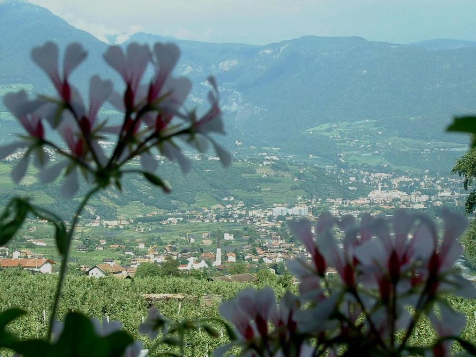 Unser Blick auf Meran Pension Plarserhof
