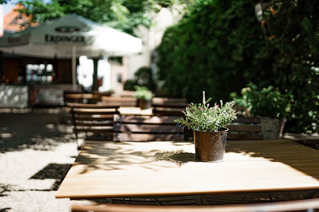 Gartenanlage Hotel Neumaier