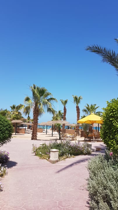 Lotus bay beach