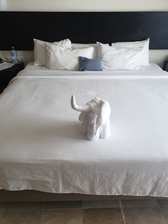 Zimmer Akumal Bay Beach & Wellness Resort