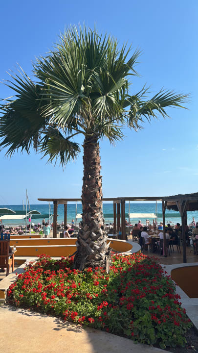 Strand Belconti Resort Hotel