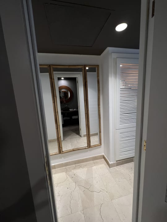 Zimmer Dreams Jardín Tropical