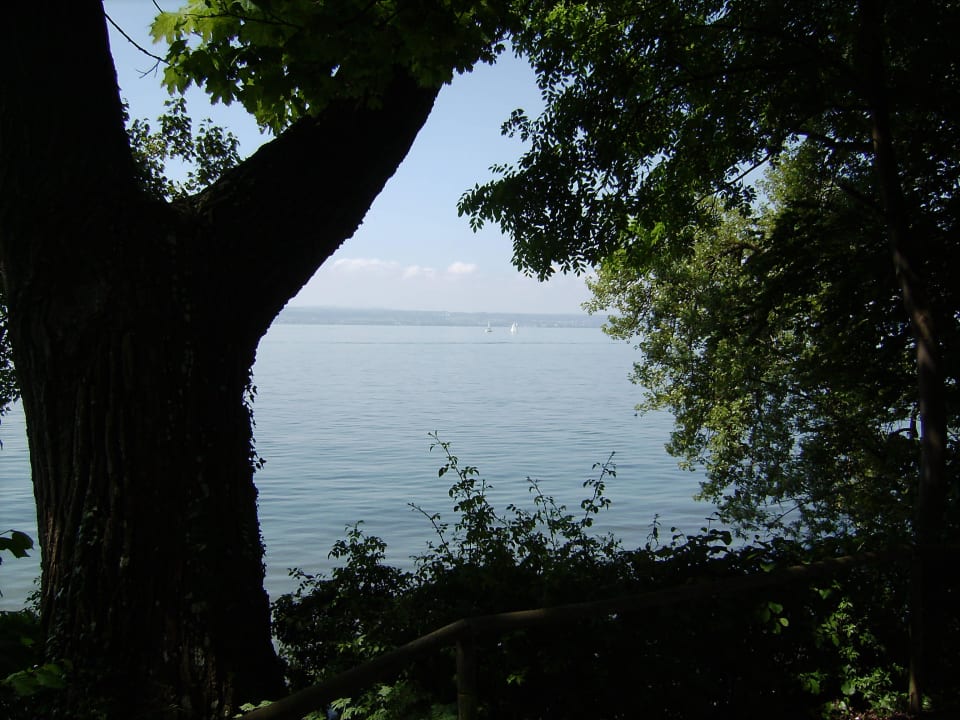 Blick auf den See Hotel Strand-Café