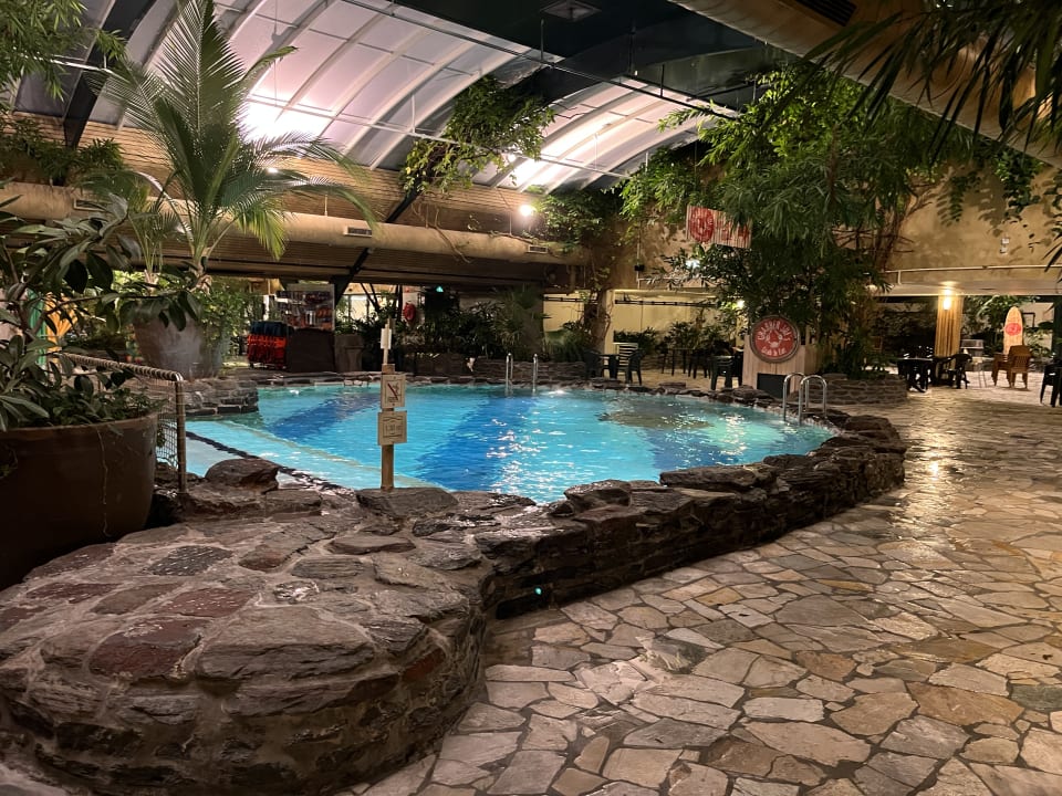 Pool Center Parcs Het Meerdal