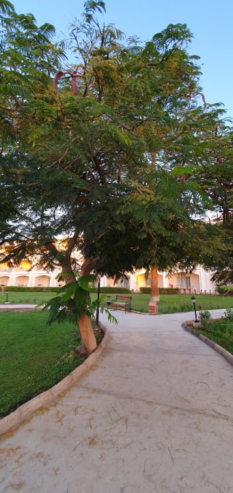 Gartenanlage Brayka Bay Resort