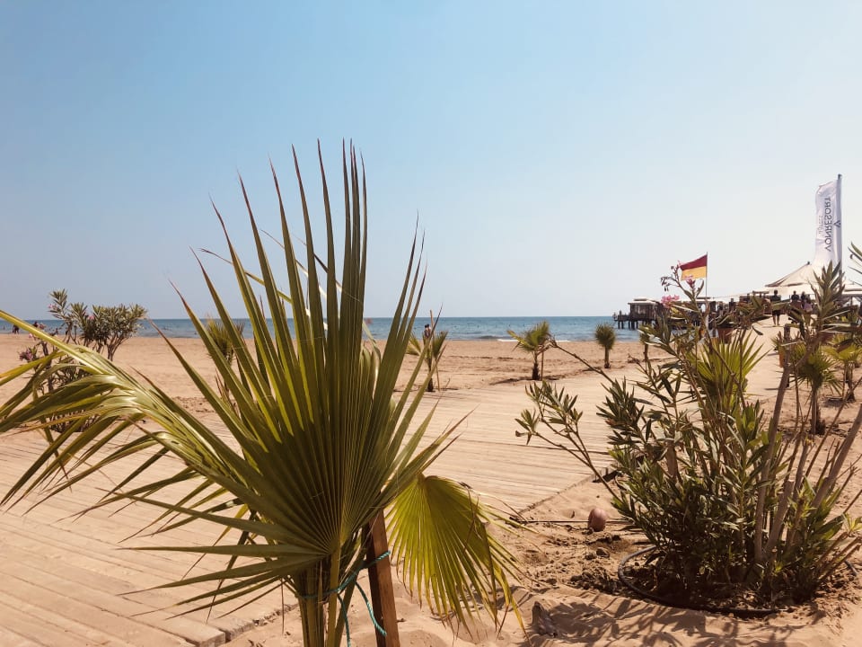 Strand VONRESORT Golden Beach