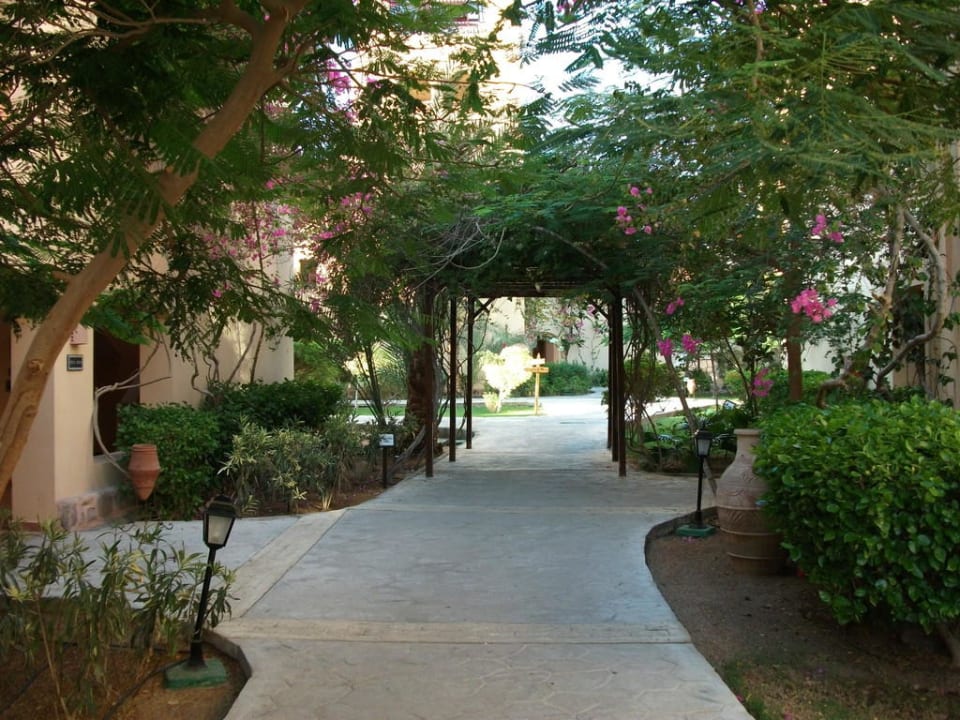 Garten Steigenberger Coraya Beach - Adults only