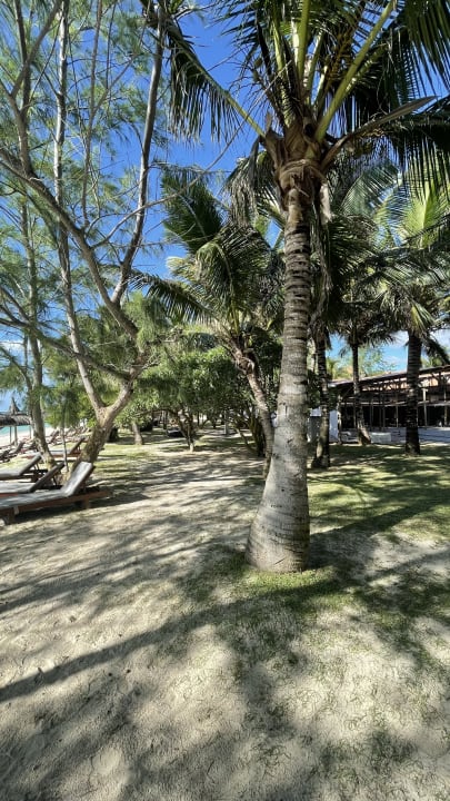 Gartenanlage Crystals Beach Resort Belle Mare, a member of Radisson Individuals