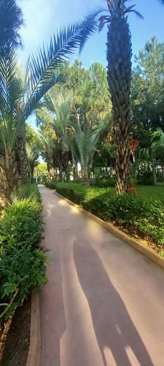 Gartenanlage Club Turtas Beach Hotel