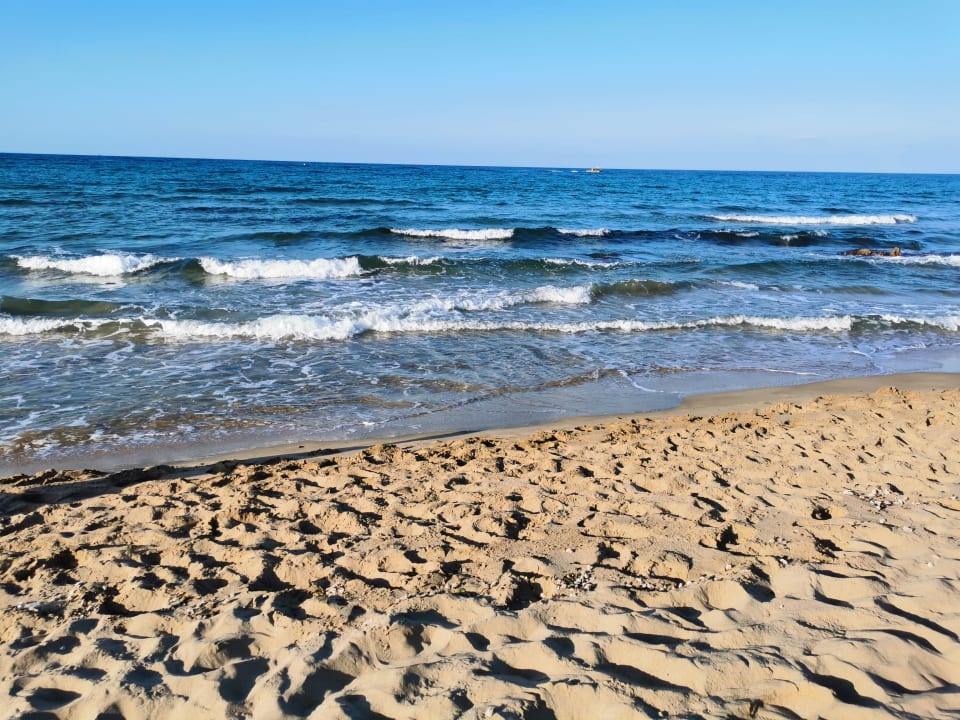 Strand Cactus Mare - Adults only