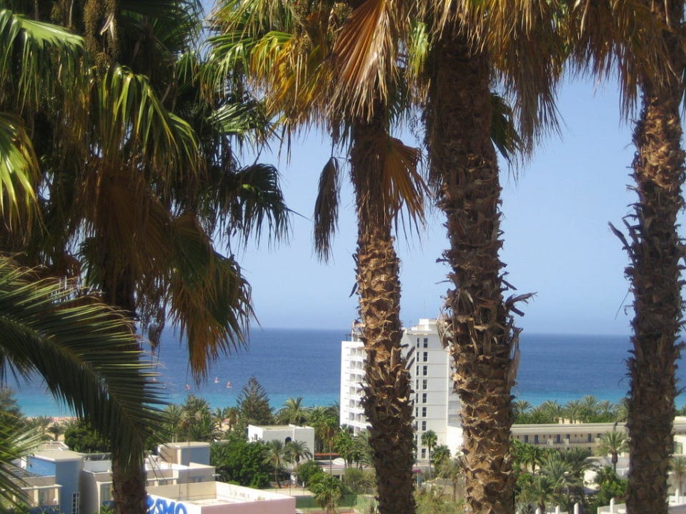 Blick aus unserem Zimmer im 8. Stock Servatur Alameda de Jandía