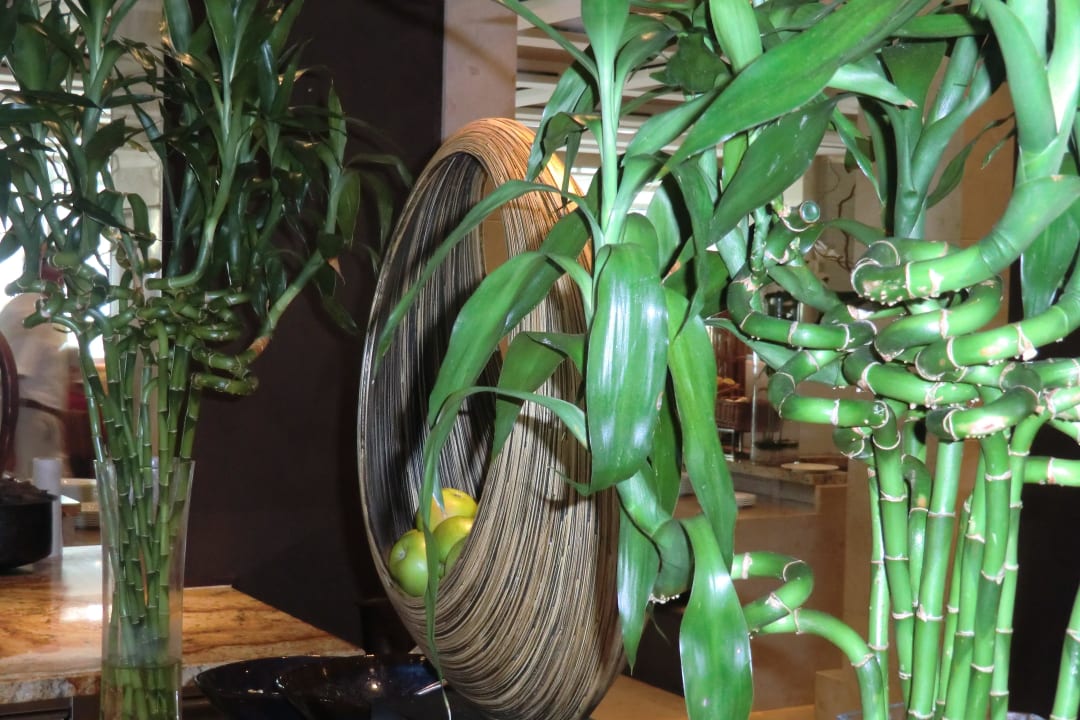 Dekoration Buffet Al Bustan Palace - A Ritz-Carlton Hotel