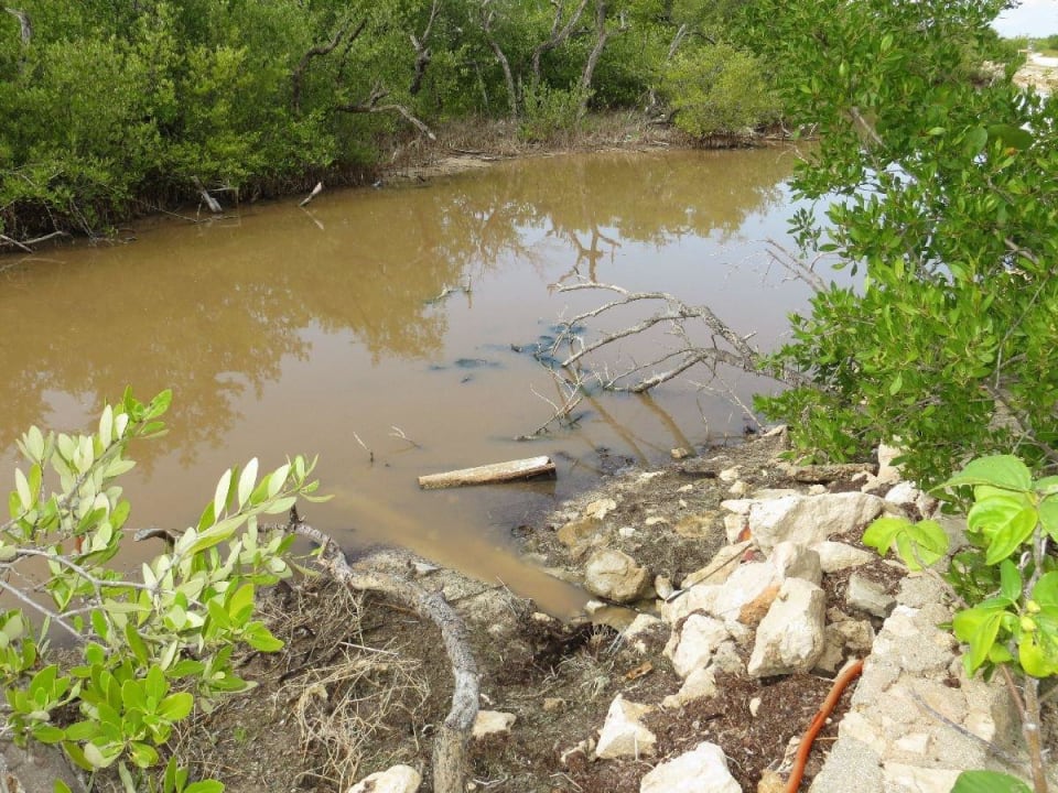 Gegenüber dem Eingang Hotel Villas Flamingos