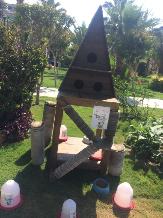 Triplex Katzen Villa Belek Beach Resort Hotel