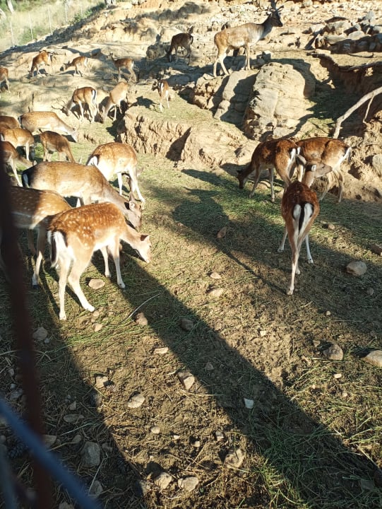Außenansicht Hotel Makryammos Bungalows