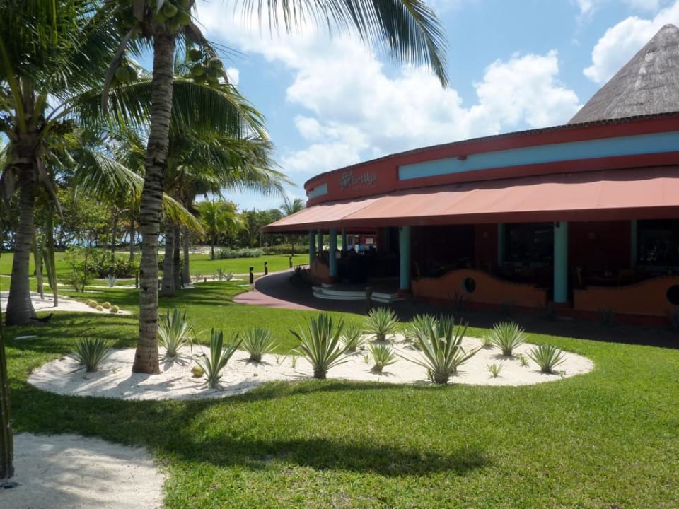 A la carte Restaurant  Catalonia Playa Maroma