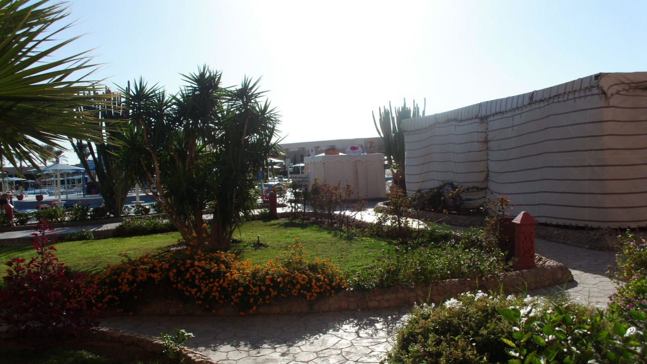 Blick aus Zimmer Ali Baba Palace Resort