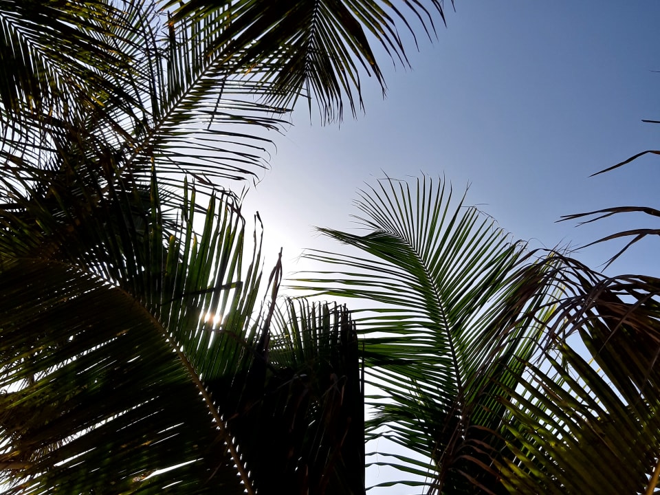 Ausblick Hotel Riu Funana