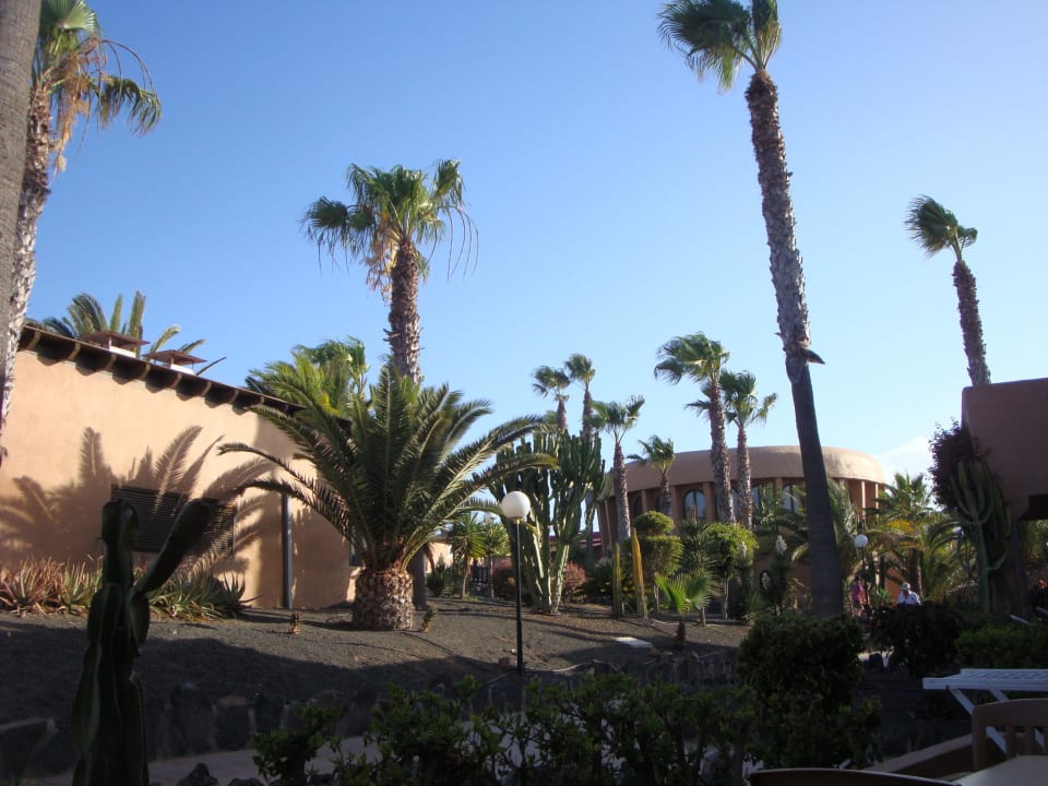 Garten Hotel Oasis Dunas