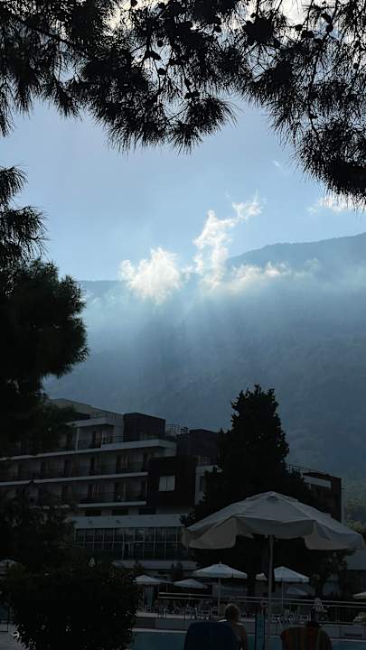 Gartenanlage TUI MAGIC LIFE Beldibi +16