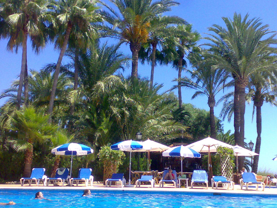 Blick auf die Poolbar THB Los Molinos - Adults only