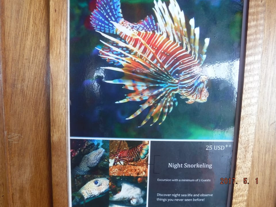 Sonstiges Gangehi Island Resort