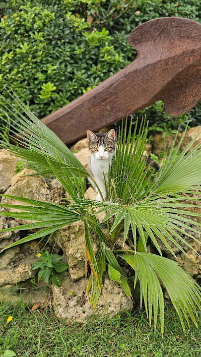 Gartenanlage Paloma Pasha