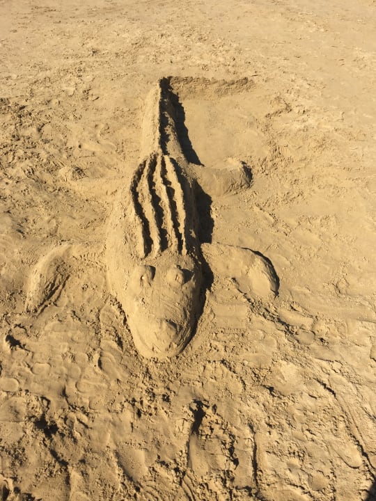 Kids Club - Strand Ausflug Sentido Trendy Verbena Beach