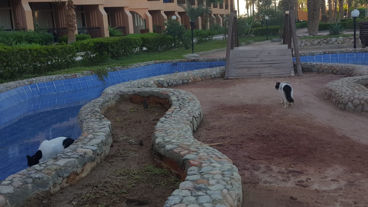 Sport & Freizeit Giftun Azur Resort