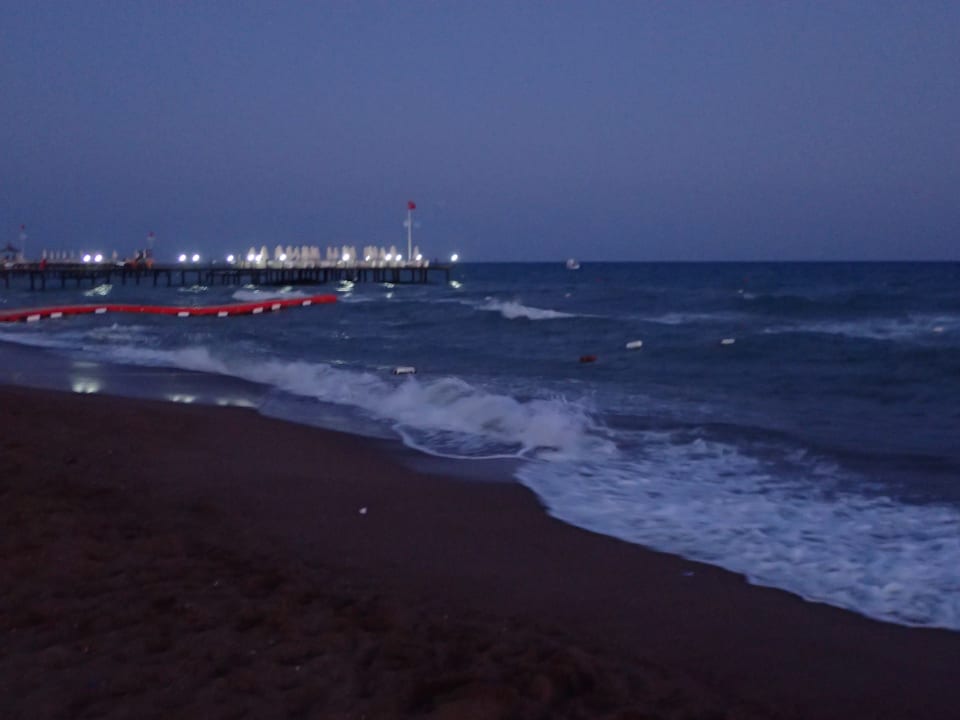 Strand Royal Seginus