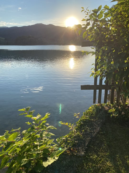 Gartenanlage Gästehaus Huber am See