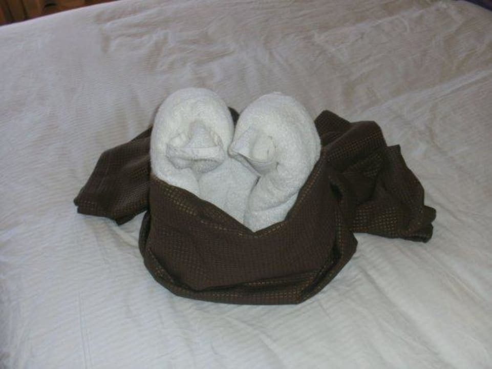 Handtuchtiere auf unserem Bett  Cactus Royal